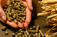 free Sound biomass boiler quotes